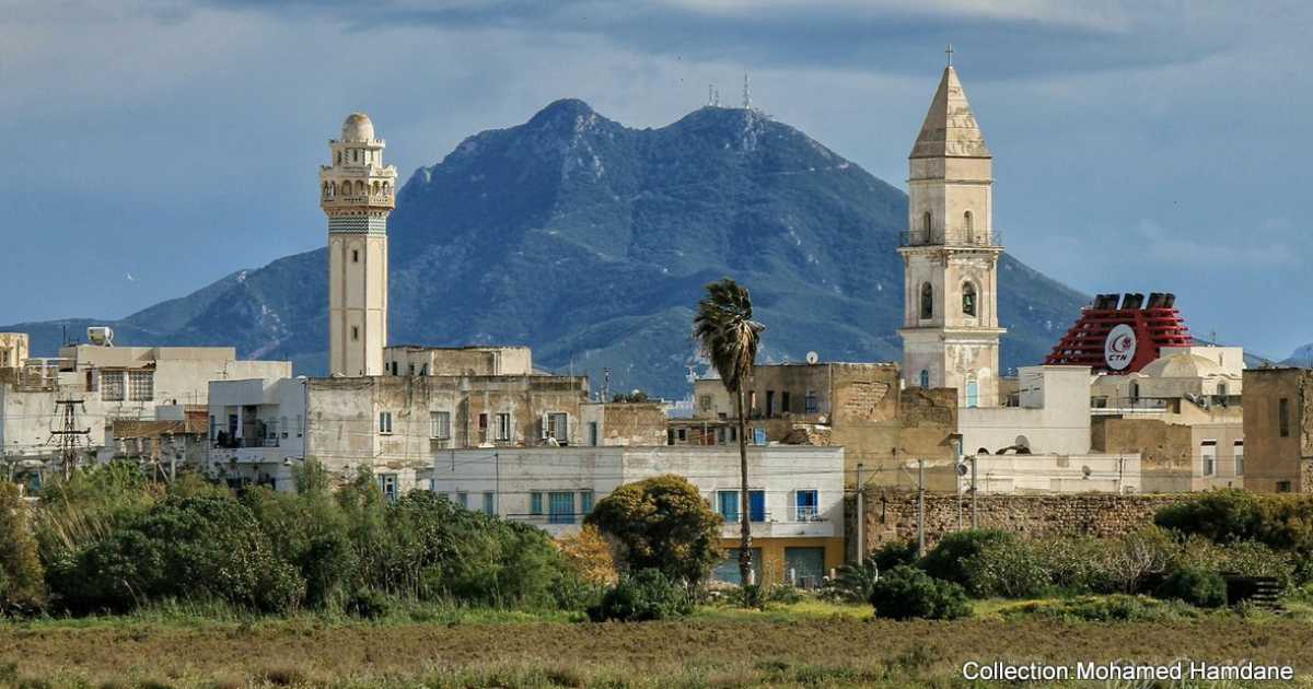 Da faccia a pesce, da falso a basta: ecco perch� in Tunisia si usano delle parole italiane